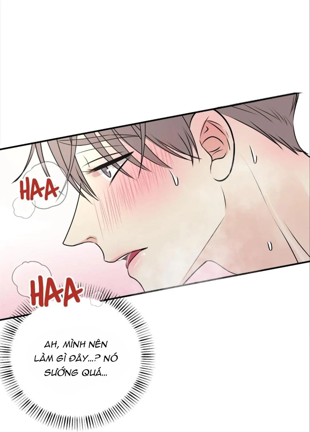 Hạnh Phúc Trọn Vẹn Chapter 19 Trang 68