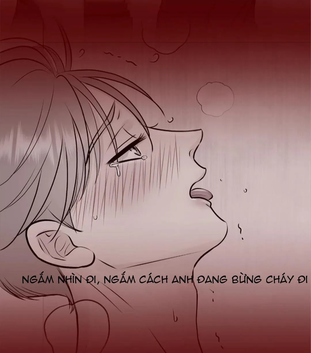 Hạnh Phúc Trọn Vẹn Chapter 20 Trang 162