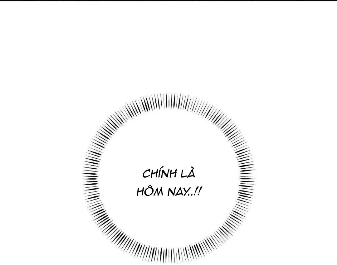 Hạnh Phúc Trọn Vẹn Chapter 22 Trang 9