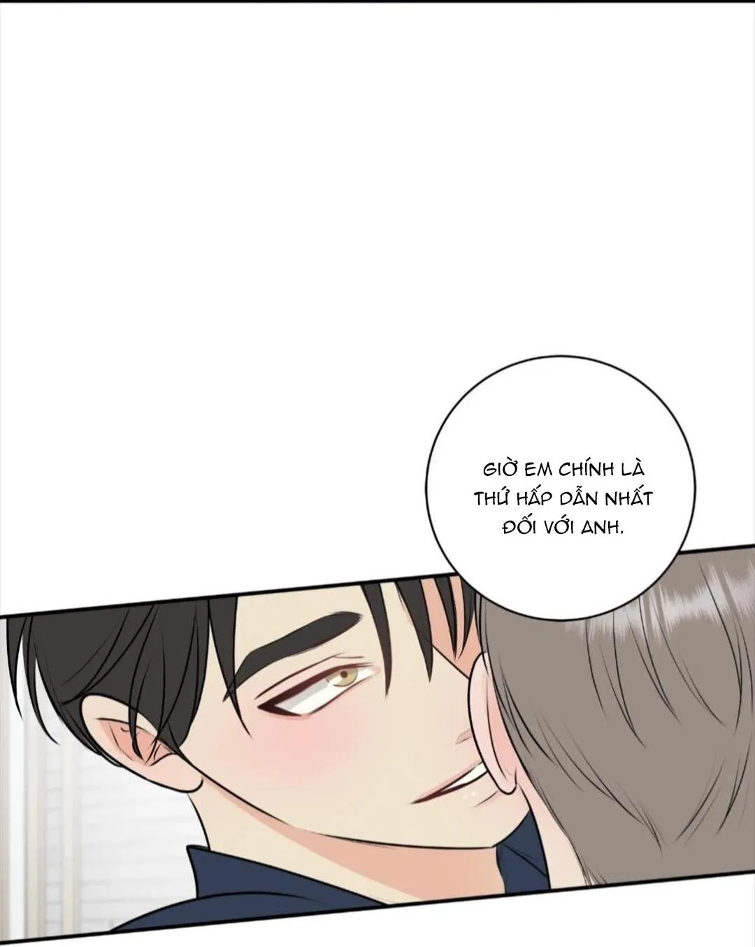 Hạnh Phúc Trọn Vẹn Chapter 22 Trang 33