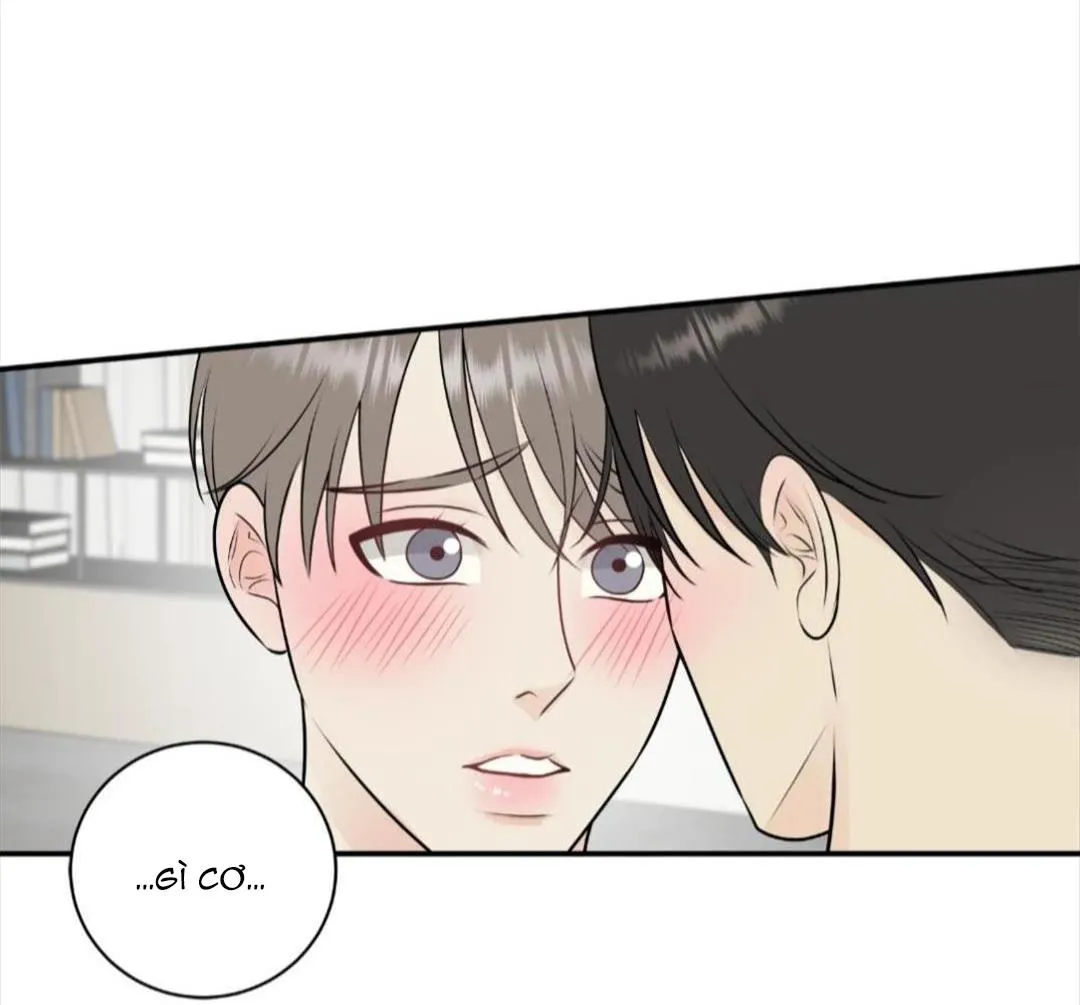 Hạnh Phúc Trọn Vẹn Chapter 22 Trang 34