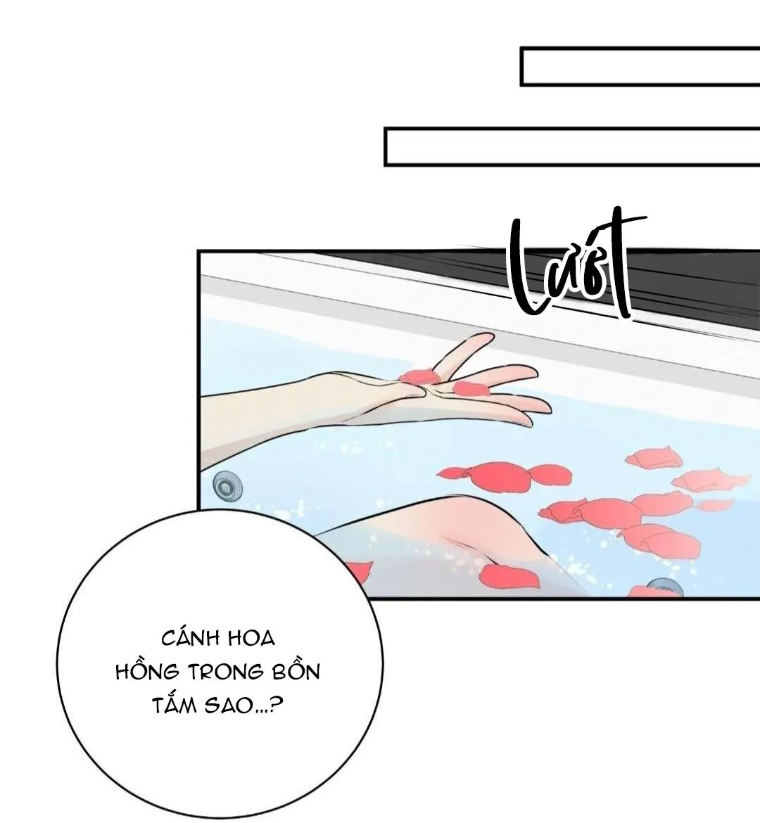 Hạnh Phúc Trọn Vẹn Chapter 22 Trang 40