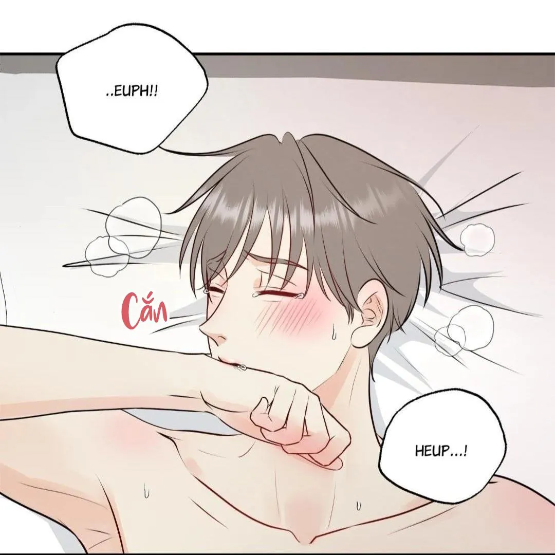 Hạnh Phúc Trọn Vẹn Chapter 22 Trang 58