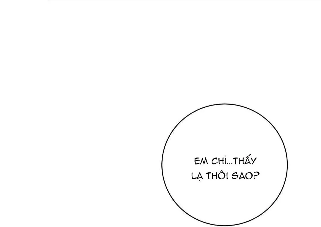 Hạnh Phúc Trọn Vẹn Chapter 23 Trang 14