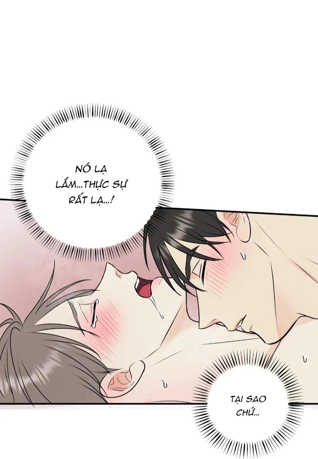 Hạnh Phúc Trọn Vẹn Chapter 23 Trang 15