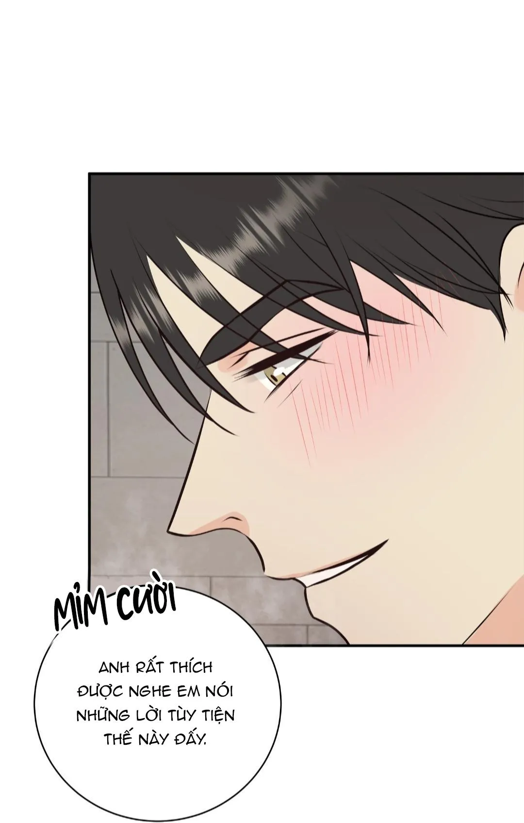 Hạnh Phúc Trọn Vẹn Chapter 23 Trang 19