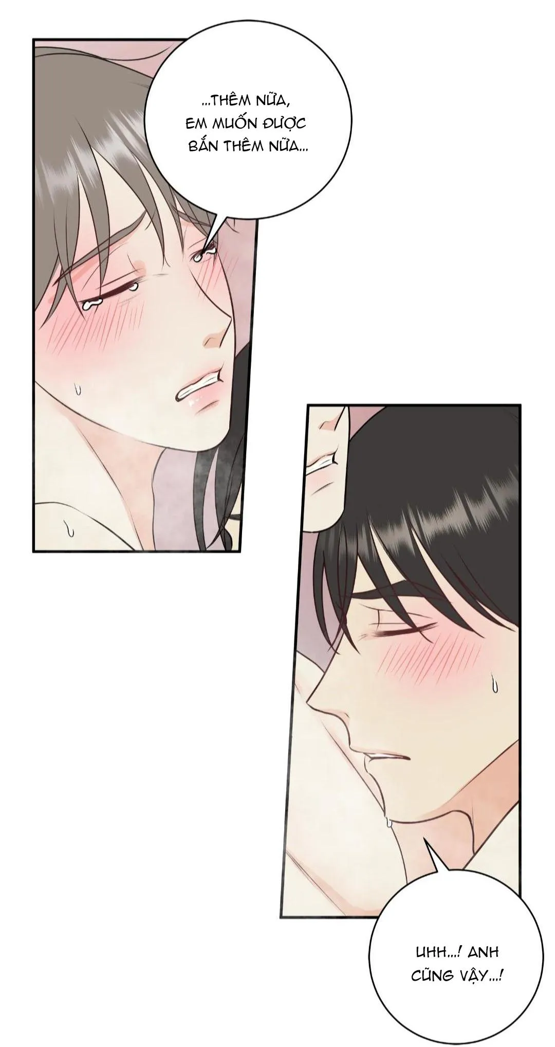 Hạnh Phúc Trọn Vẹn Chapter 23 Trang 30