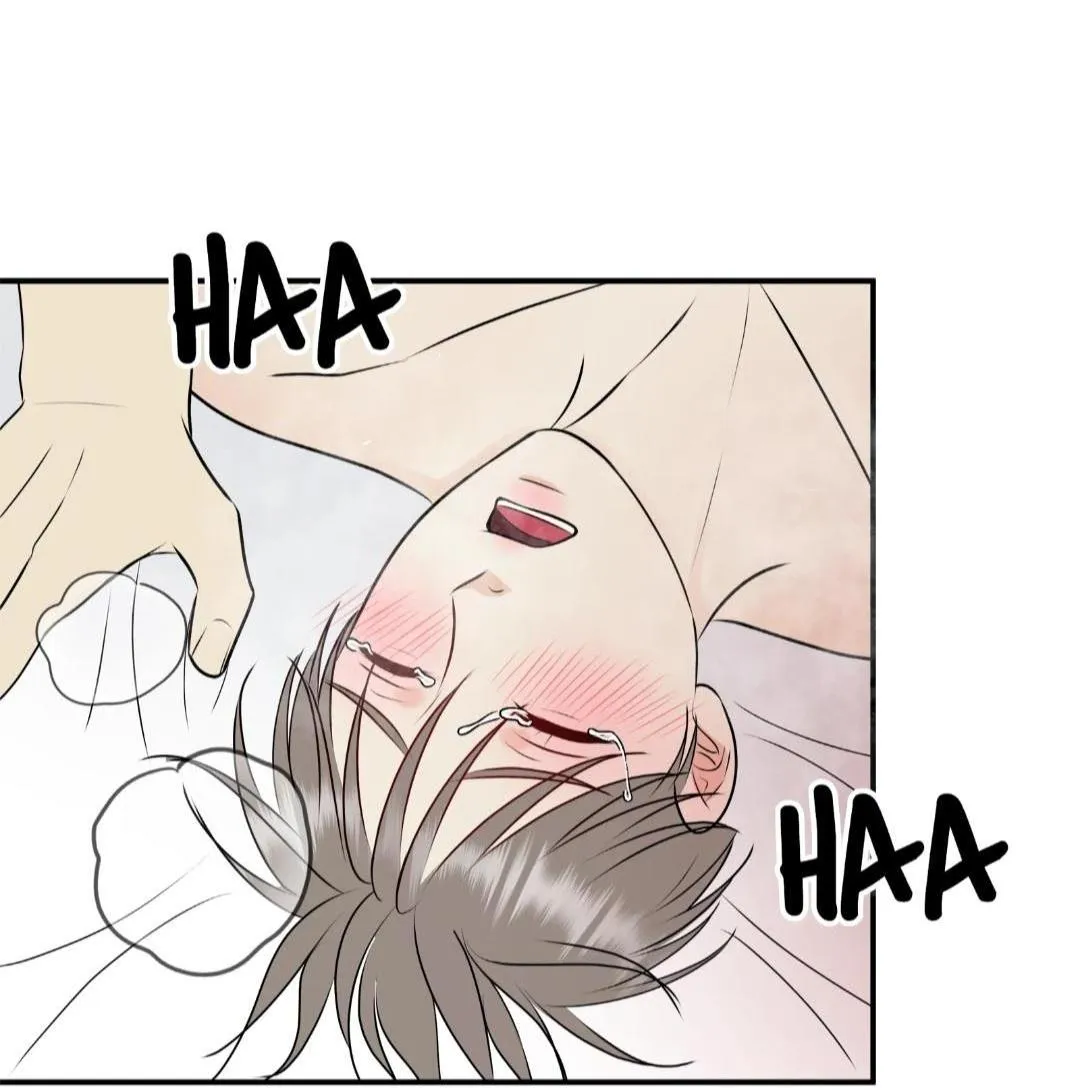 Hạnh Phúc Trọn Vẹn Chapter 23 Trang 33