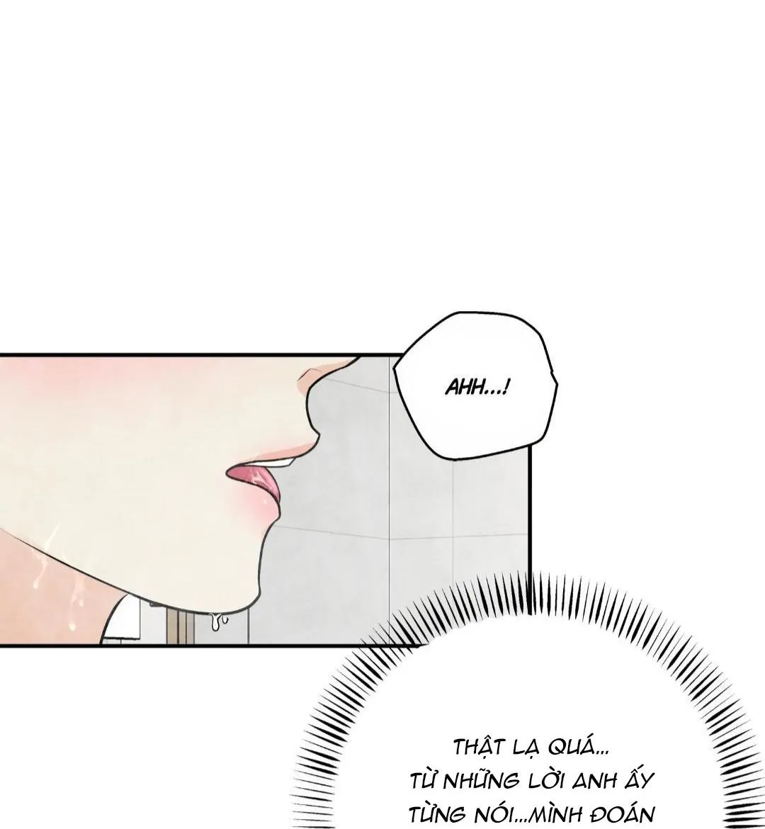 Hạnh Phúc Trọn Vẹn Chapter 24 Trang 26