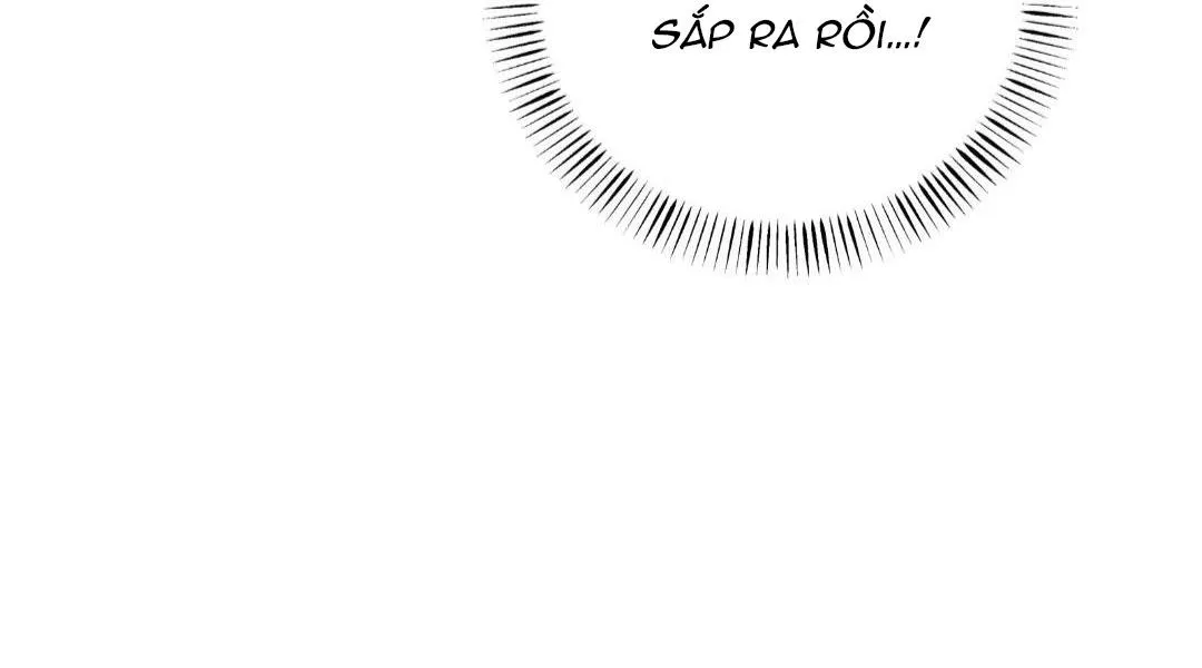 Hạnh Phúc Trọn Vẹn Chapter 24 Trang 31