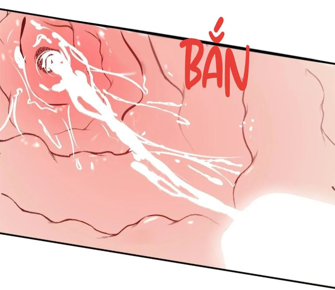 Hạnh Phúc Trọn Vẹn Chapter 24 Trang 63