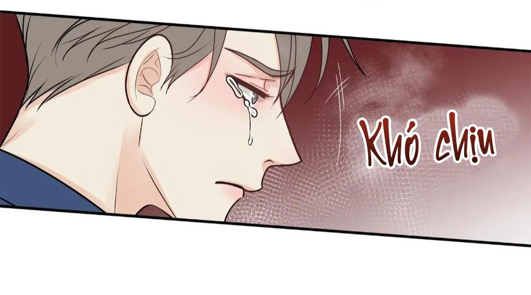 Hạnh Phúc Trọn Vẹn Chapter 25 Trang 52