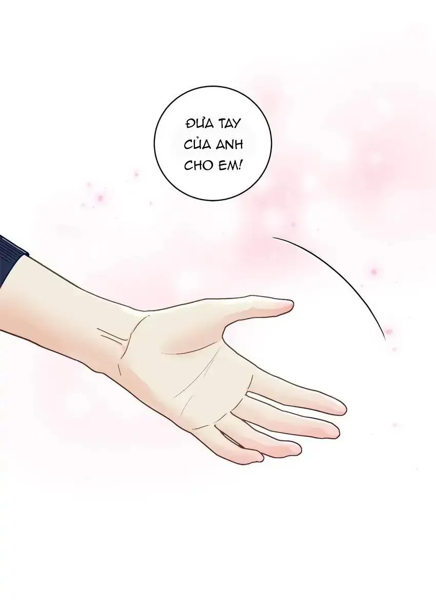 Hạnh Phúc Trọn Vẹn Chapter 38 Trang 5