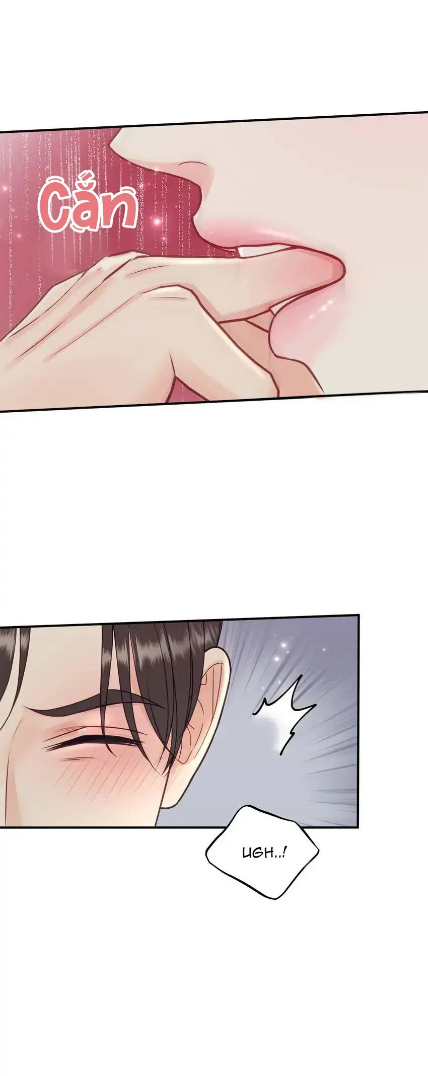 Hạnh Phúc Trọn Vẹn Chapter 38 Trang 45