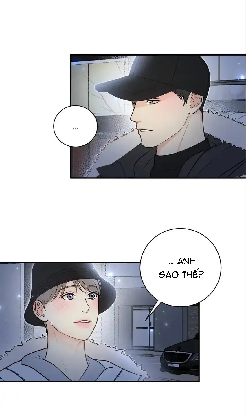 Hạnh Phúc Trọn Vẹn Chapter 40 Trang 38