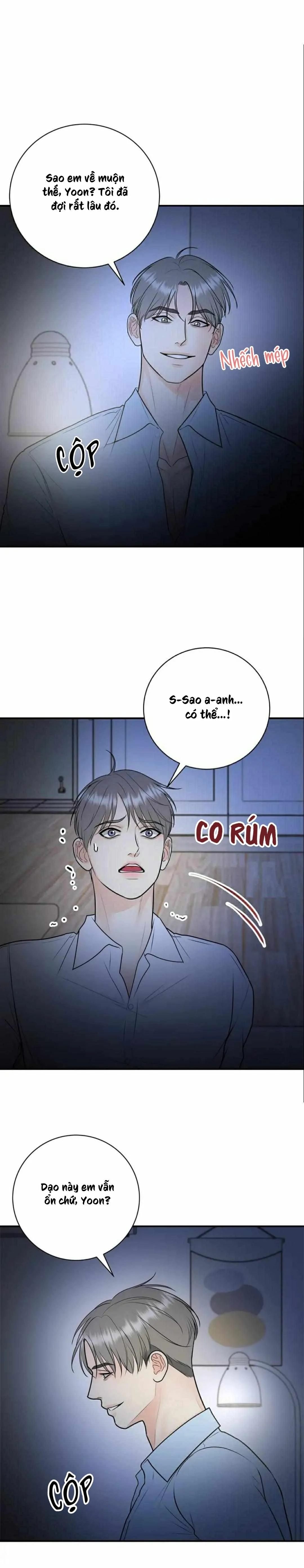 Hạnh Phúc Trọn Vẹn Chapter 49 Trang 22