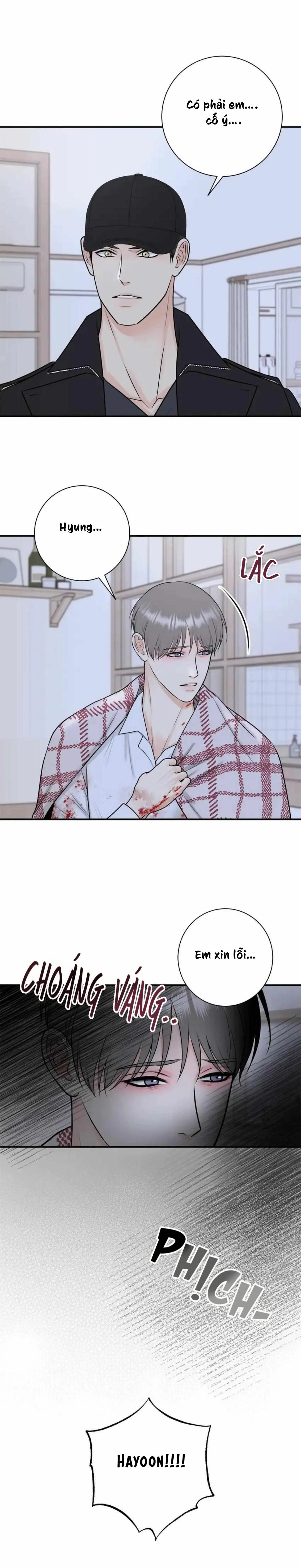 Hạnh Phúc Trọn Vẹn Chapter 52 Trang 4