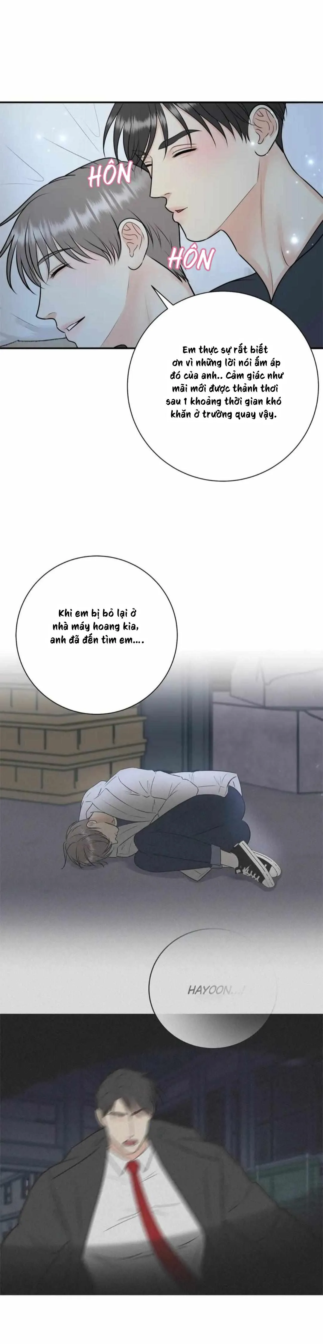 Hạnh Phúc Trọn Vẹn Chapter 52 Trang 17