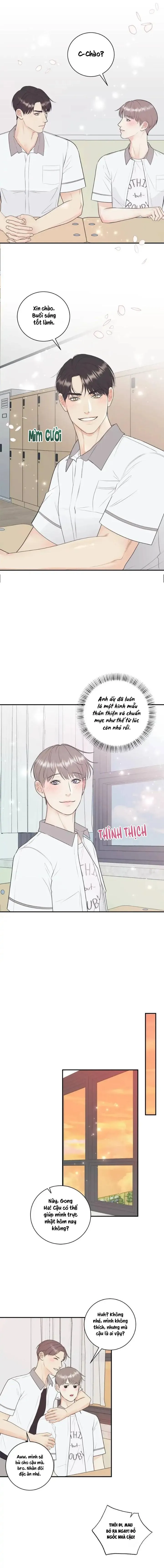 Hạnh Phúc Trọn Vẹn Chapter 67 Trang 9