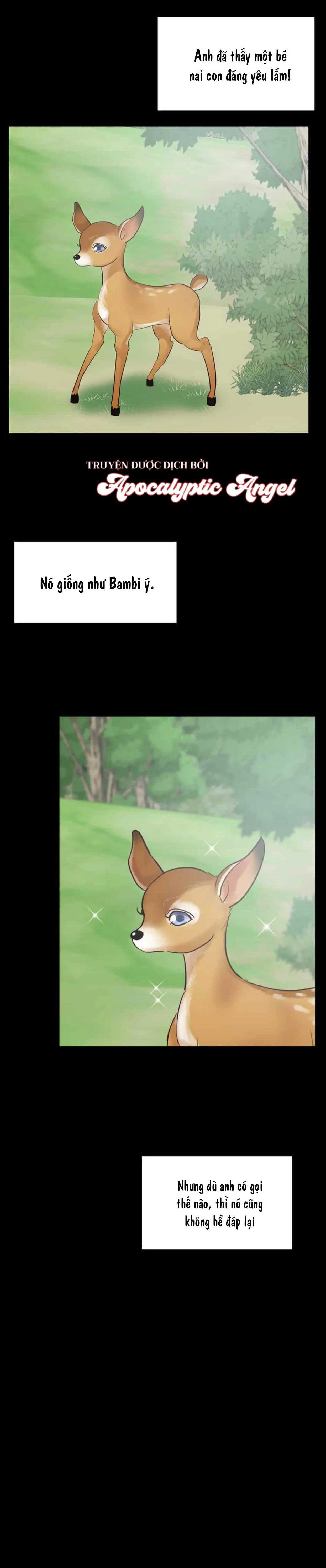 HAR Đụng Là Nóng Mà Chạm Là Chạy Chapter 67 Trang 12