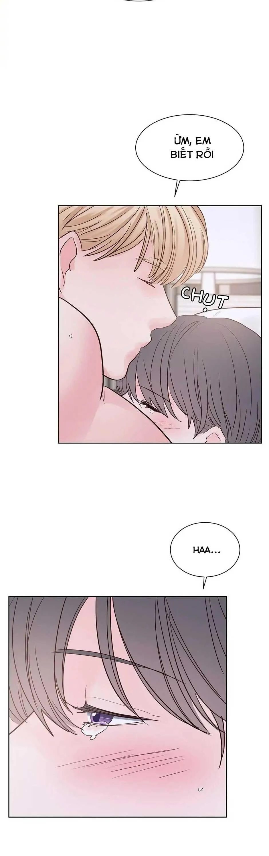 HAR Đụng Là Nóng Mà Chạm Là Chạy Chapter 71 Trang 4