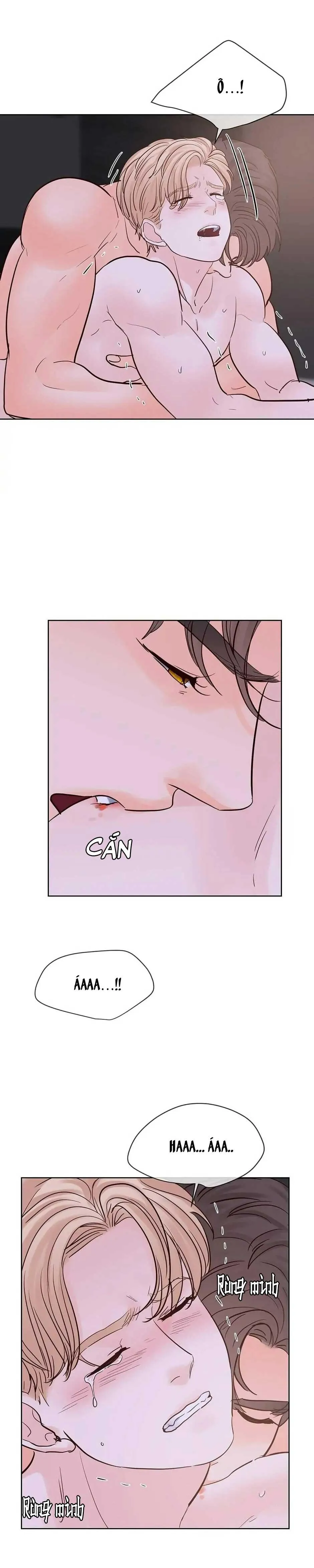 HAR Đụng Là Nóng Mà Chạm Là Chạy Chapter 73 Trang 16