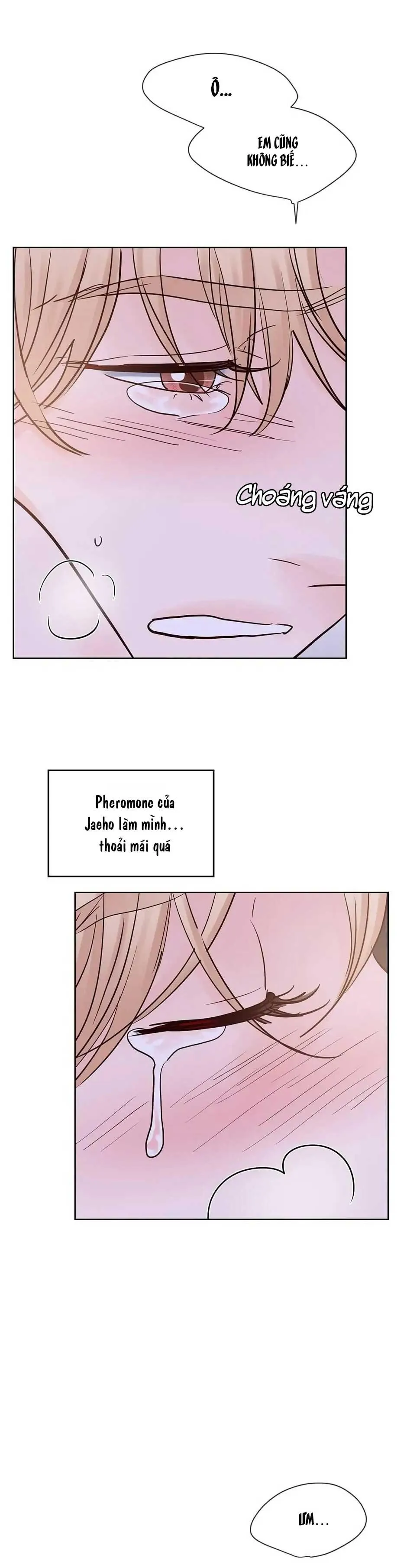 HAR Đụng Là Nóng Mà Chạm Là Chạy Chapter 73 Trang 20