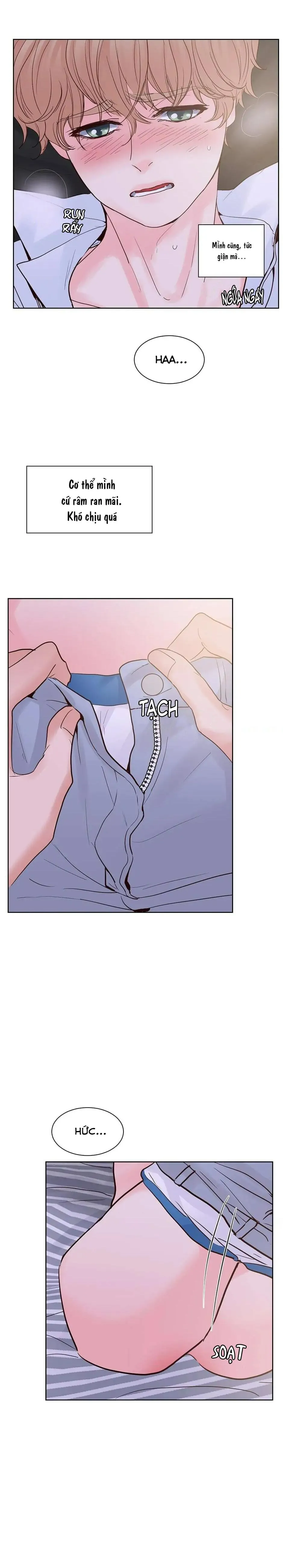 HAR Đụng Là Nóng Mà Chạm Là Chạy Chapter 80 Trang 5