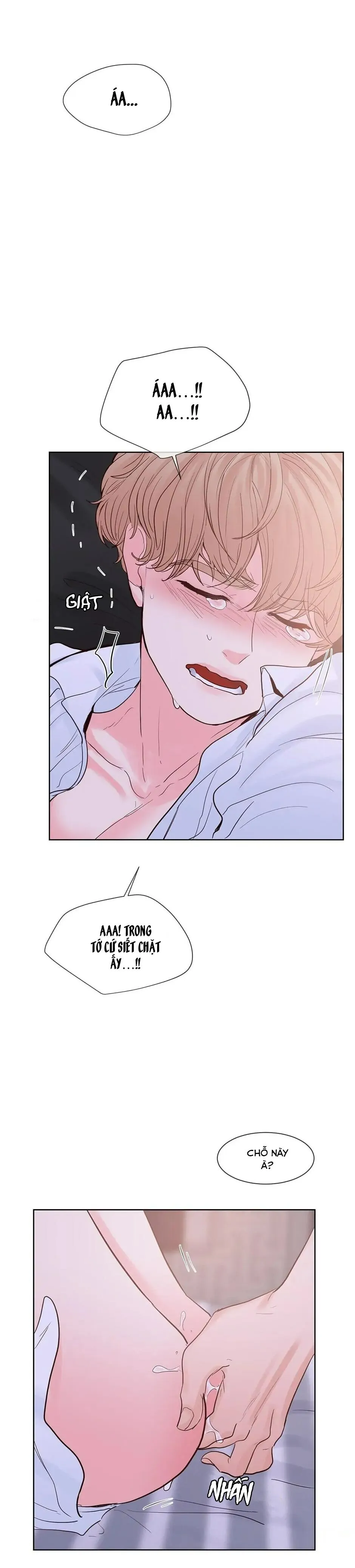 HAR Đụng Là Nóng Mà Chạm Là Chạy Chapter 80 Trang 13