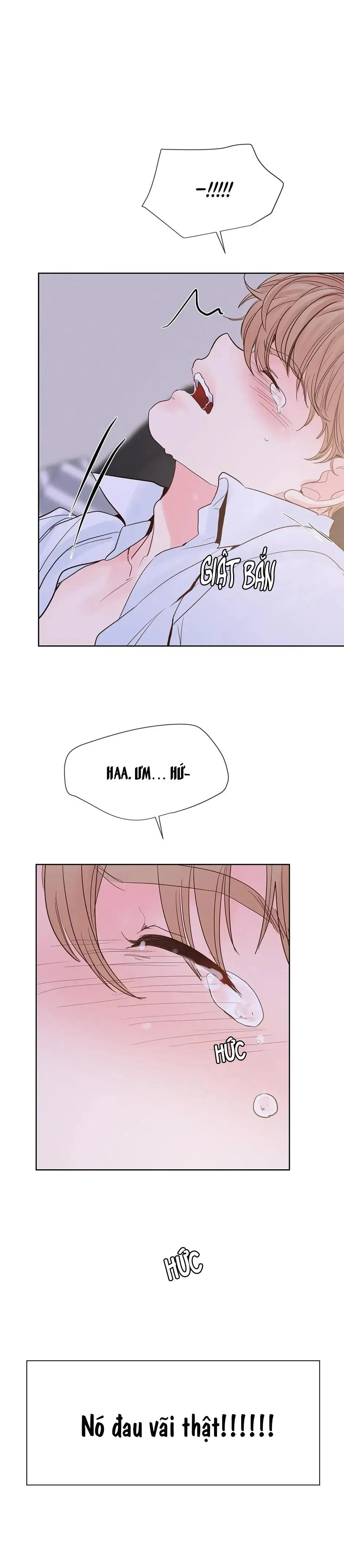 HAR Đụng Là Nóng Mà Chạm Là Chạy Chapter 80 Trang 20