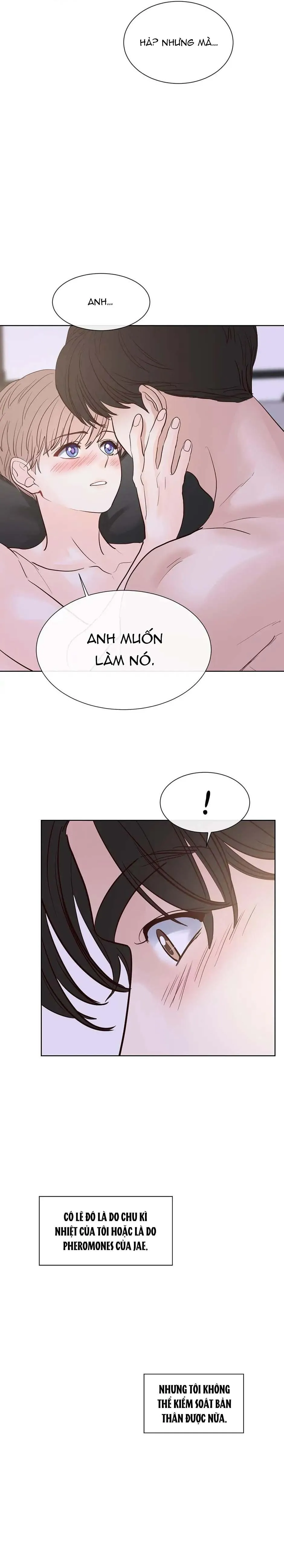 HAR Đụng Là Nóng Mà Chạm Là Chạy Chapter 101 Trang 13