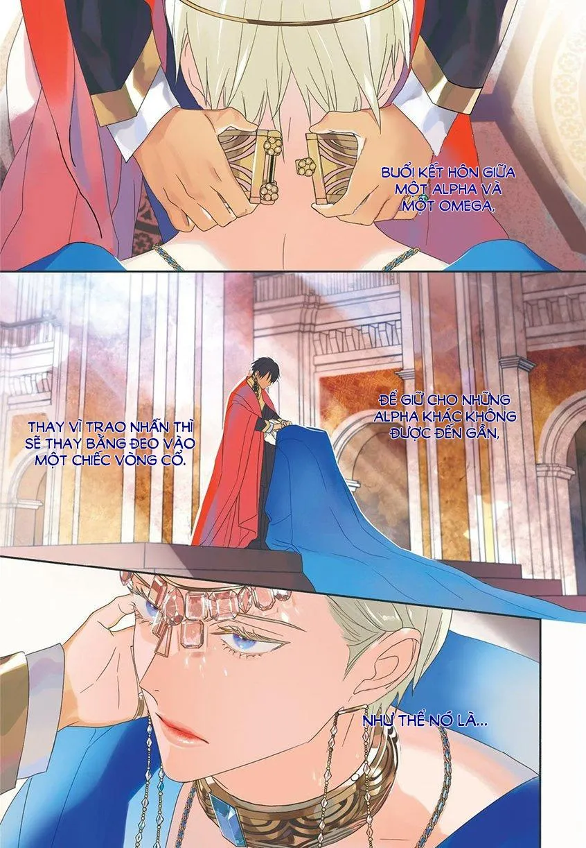 Hậu Cung Omega Chapter 1 Trang 3