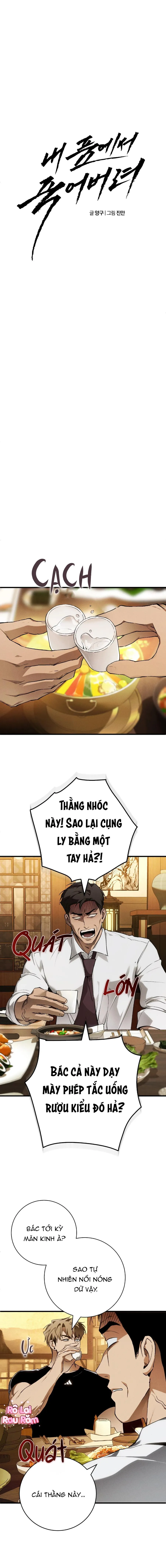 Hãy chết trong vòng tay của tôi Chapter 4 Trang 13