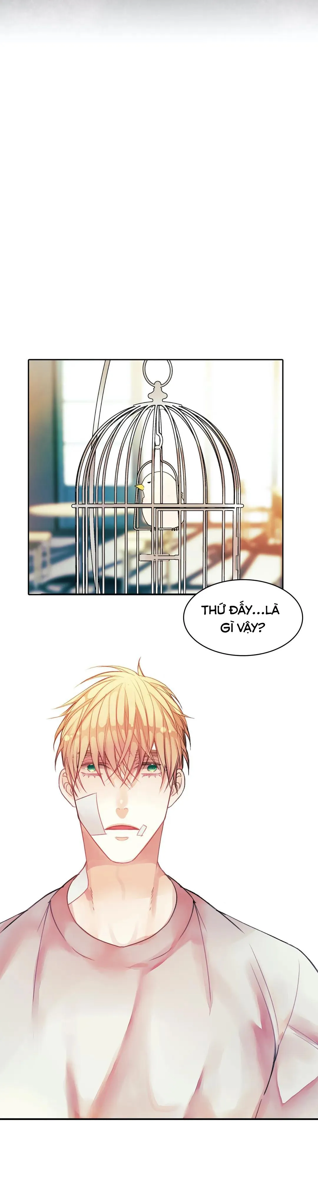 HÃY CHỊU TRÁCH NHIỆM ĐI! Chapter 3 Trang 8