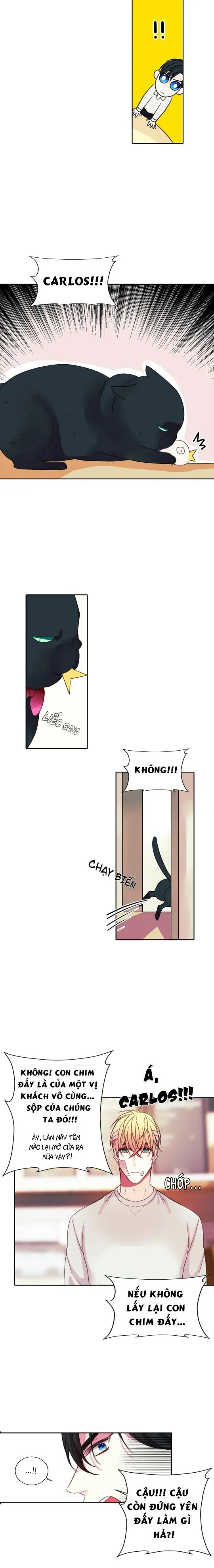 HÃY CHỊU TRÁCH NHIỆM ĐI! Chapter 3 Trang 16