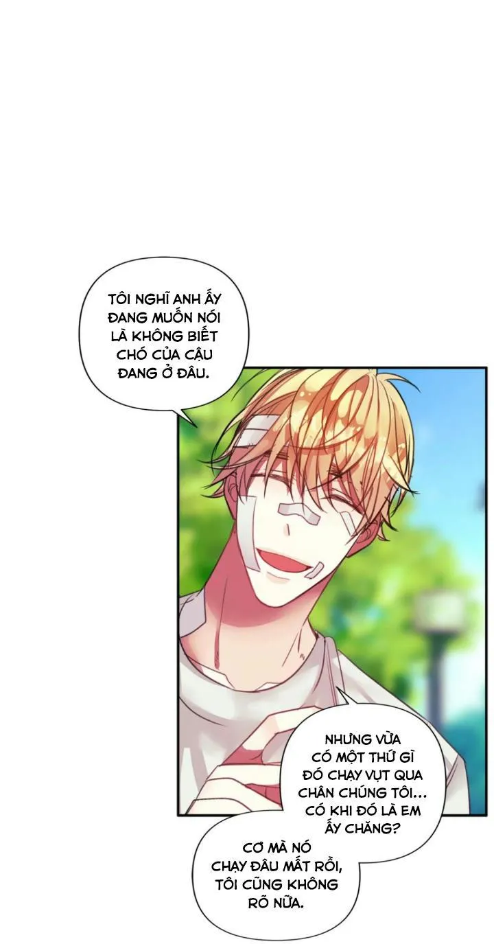 HÃY CHỊU TRÁCH NHIỆM ĐI! Chapter 6 Trang 17