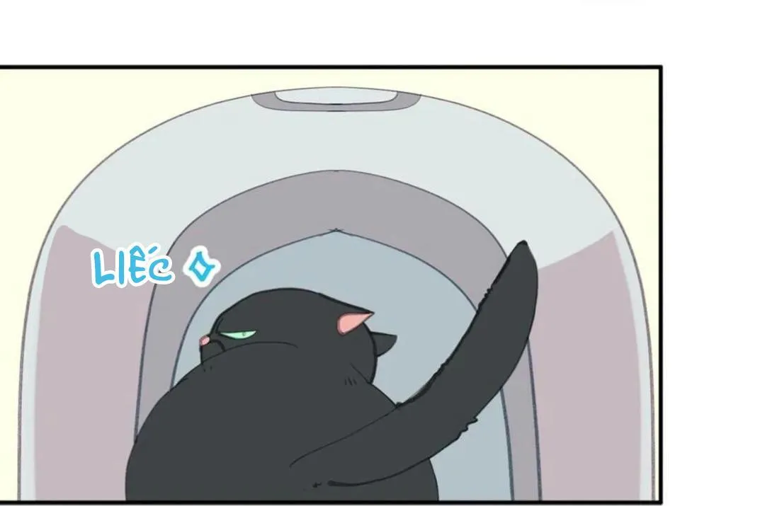 HÃY CHỊU TRÁCH NHIỆM ĐI! Chapter 10 Trang 79