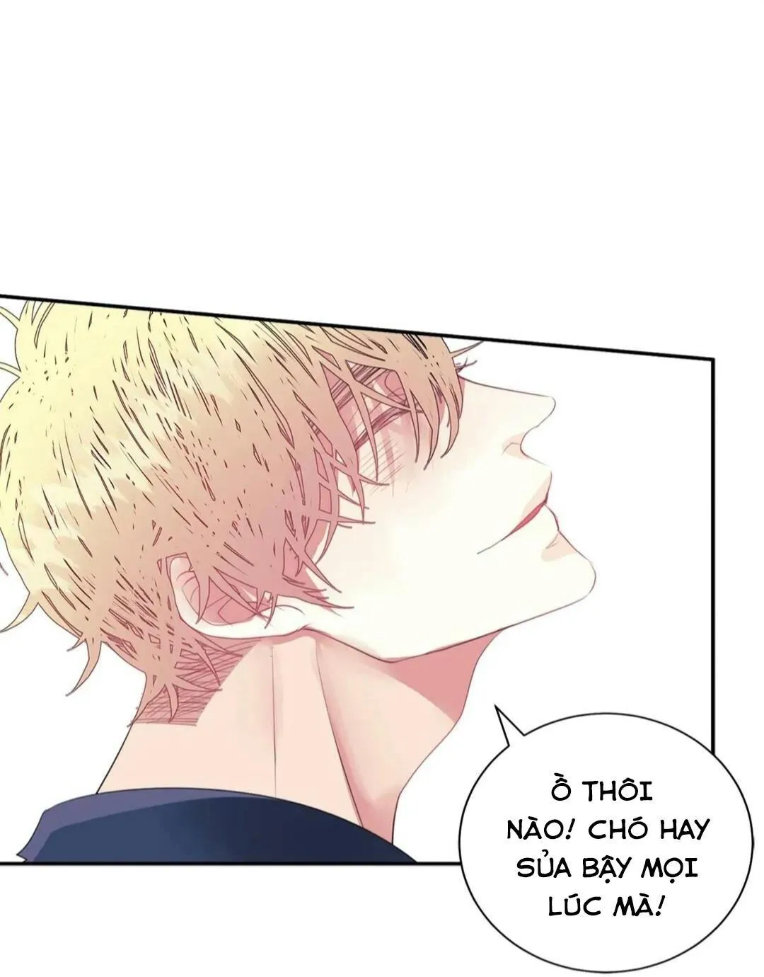 HÃY CHỊU TRÁCH NHIỆM ĐI! Chapter 11 Trang 55