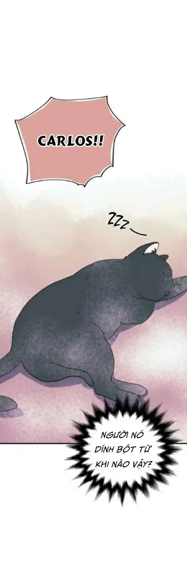 HÃY CHỊU TRÁCH NHIỆM ĐI! Chapter 13 Trang 28