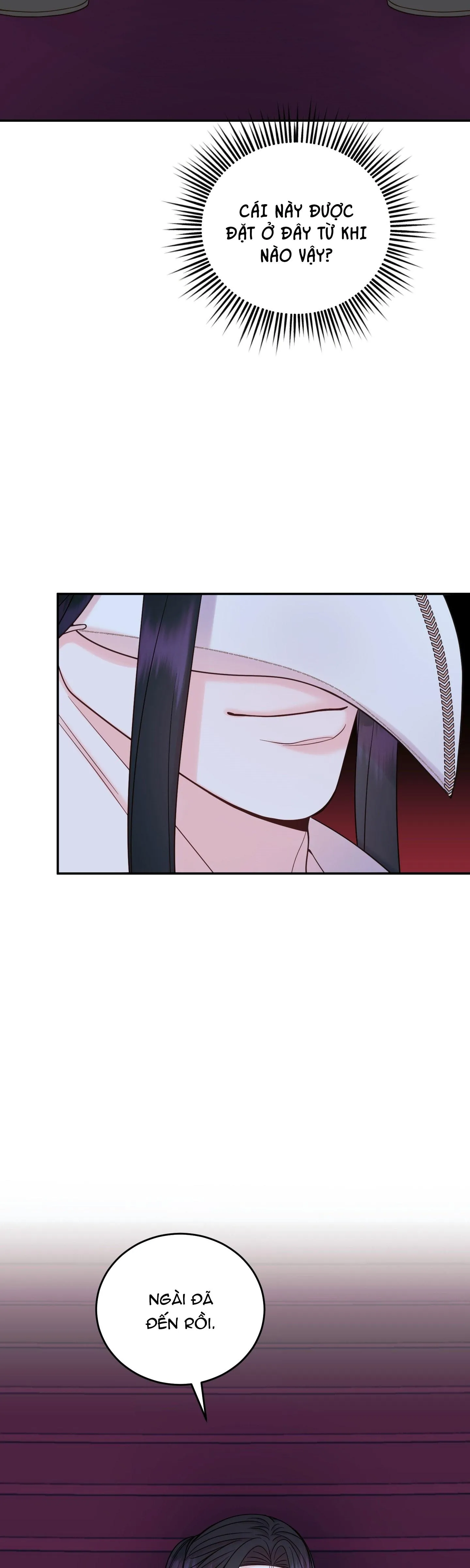 (SONG TÍNH) HÃY CHỊU TRÁCH NHIỆM ĐI NGÀI CÔNG TƯỚC Chapter 3 Trang 6