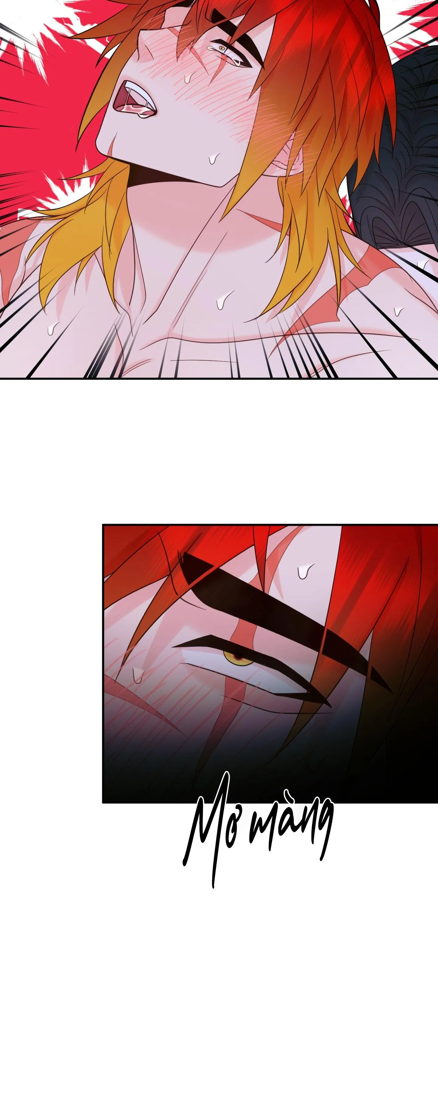 (SONG TÍNH) HÃY CHỊU TRÁCH NHIỆM ĐI NGÀI CÔNG TƯỚC Chapter 5 Trang 10