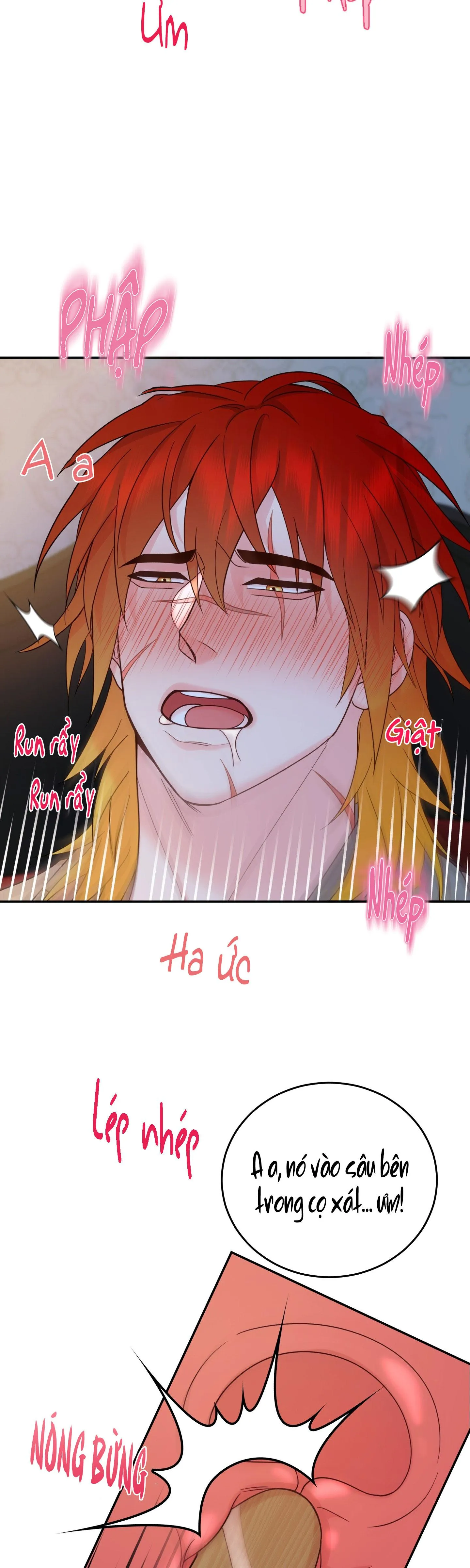 (SONG TÍNH) HÃY CHỊU TRÁCH NHIỆM ĐI NGÀI CÔNG TƯỚC Chapter 1 Trang 39