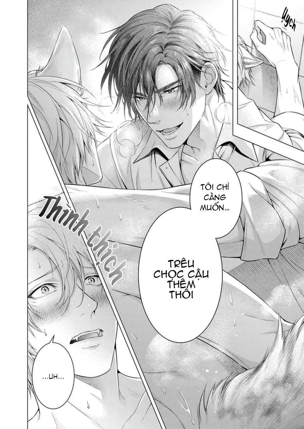 Hãy cho tôi chạm vào chiếc đuôi gợi cảm đó Chapter 2 Trang 16