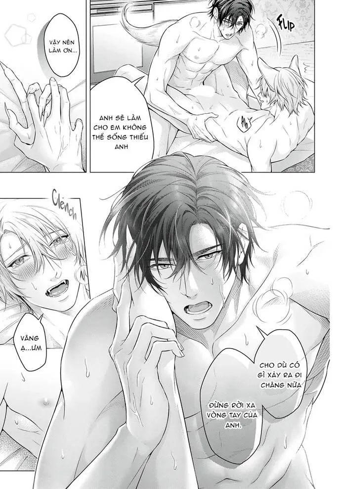 Hãy cho tôi chạm vào chiếc đuôi gợi cảm đó Chapter 6 Trang 18