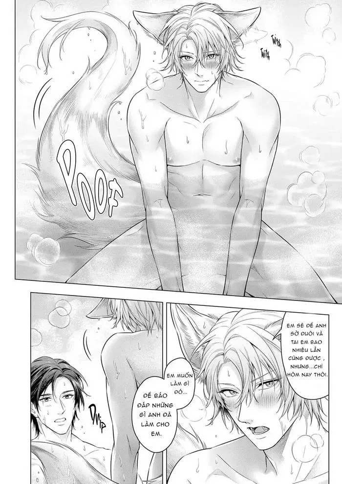 Hãy cho tôi chạm vào chiếc đuôi gợi cảm đó Chapter 7 Trang 11