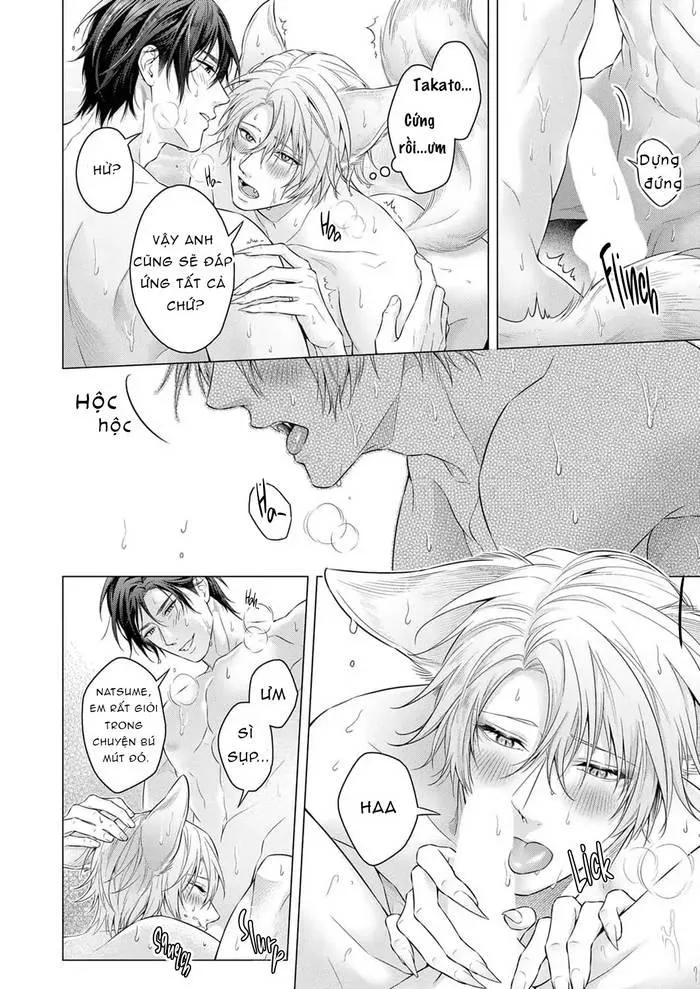 Hãy cho tôi chạm vào chiếc đuôi gợi cảm đó Chapter 7 Trang 13