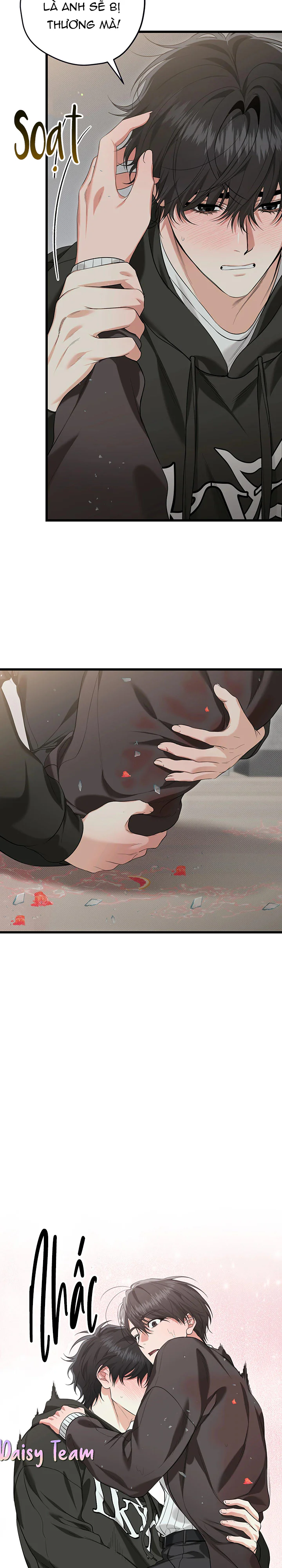 HÃY ĐÁNH TÔI THẬT MẠNH ĐI Chapter 4 Trang 5