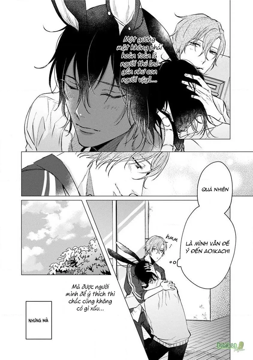 Hãy để tôi chạm vào khuôn mặt mềm mai ấy Chapter 3 Trang 4