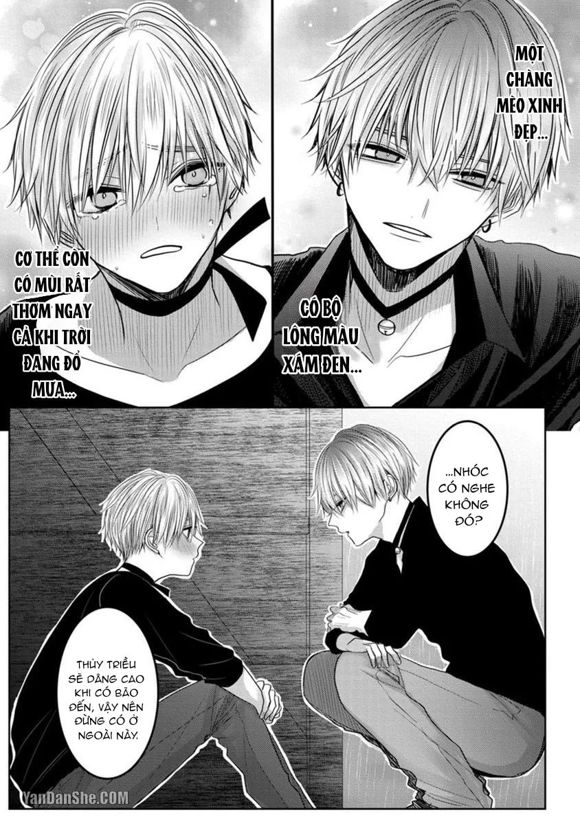 Hãy đến và chiếm lấy những đêm không ngủ của tôi Chapter 1 Trang 16