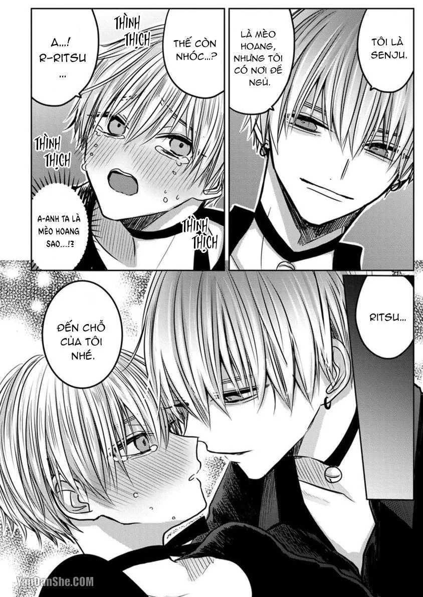 Hãy đến và chiếm lấy những đêm không ngủ của tôi Chapter 1 Trang 19